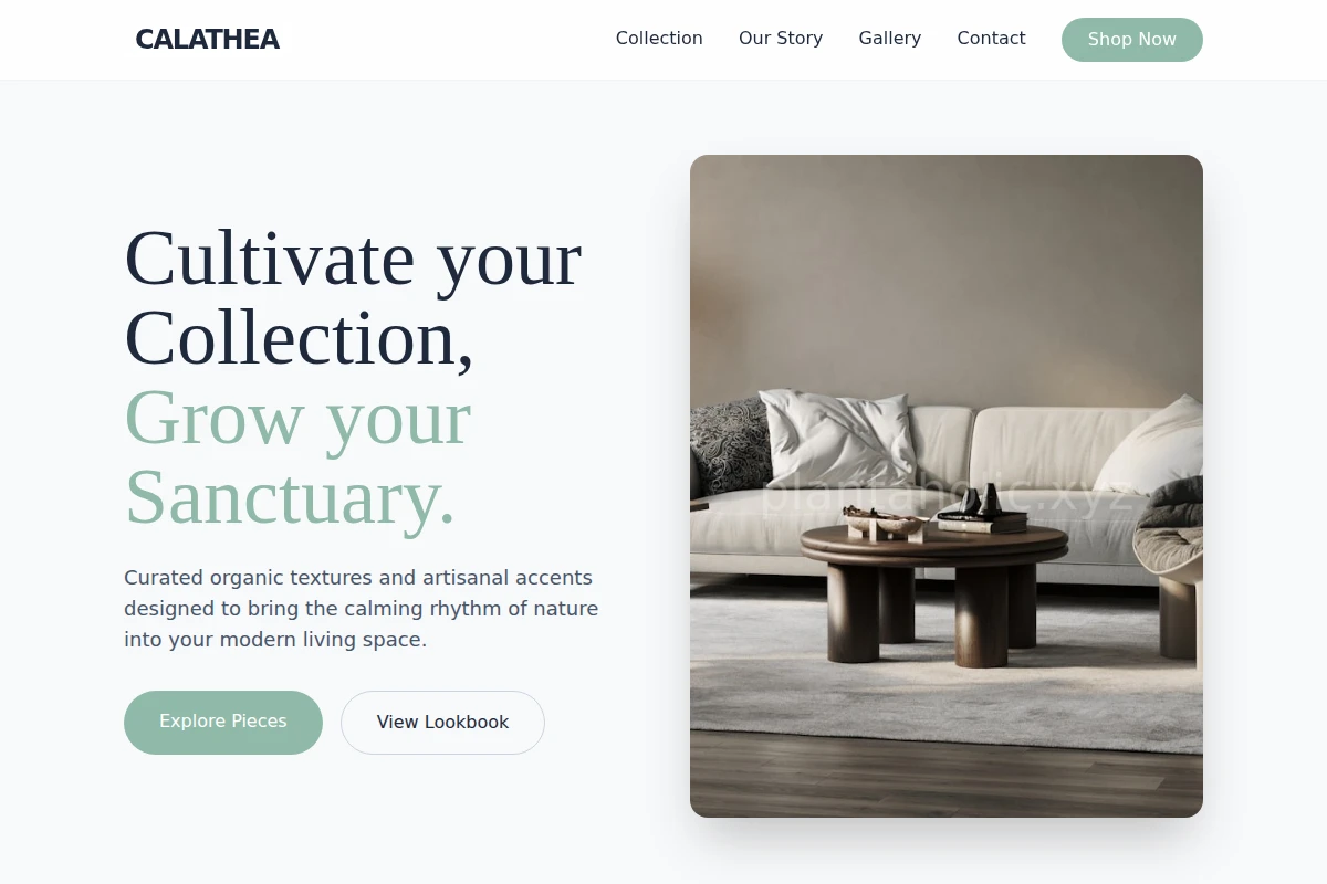 Calathea Home Decor