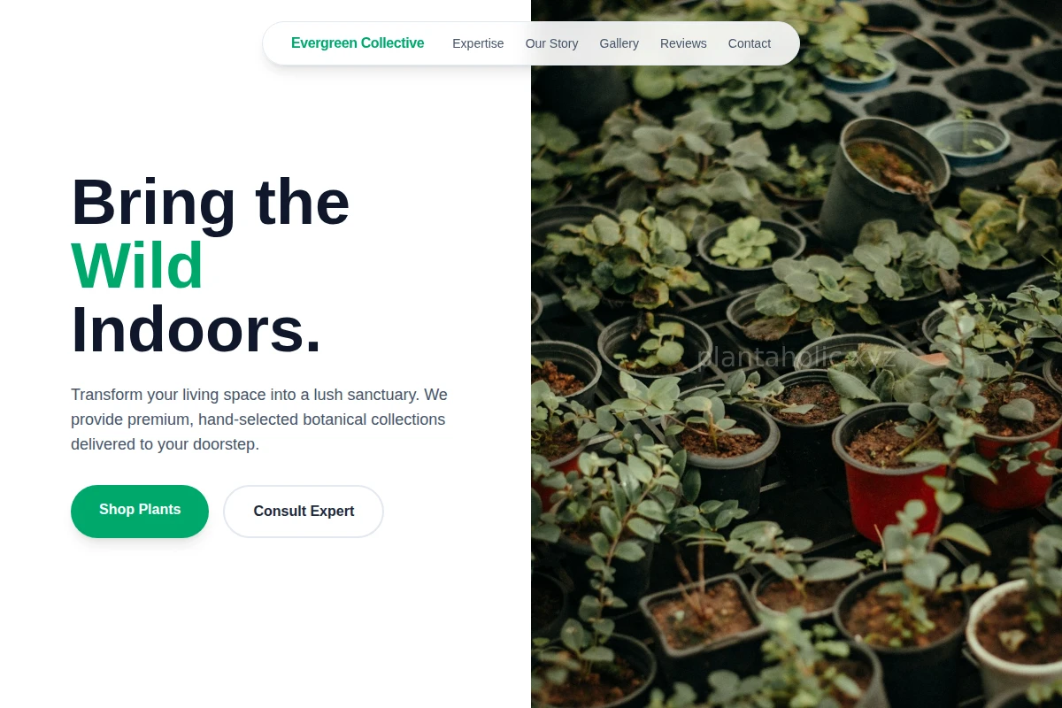 Horticulture Plant Nursery